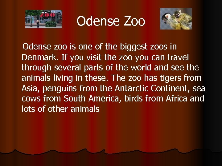 Odense Zoo Odense zoo is one of the biggest zoos in Denmark. If you