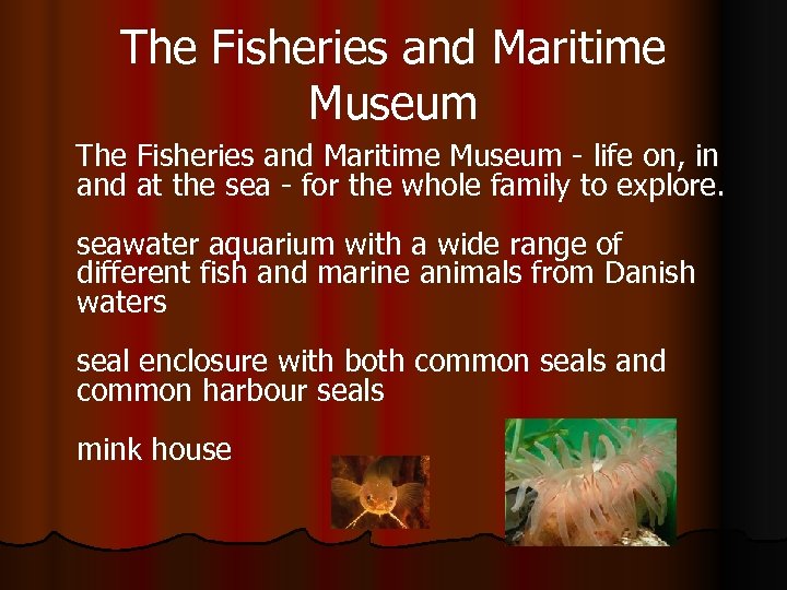 The Fisheries and Maritime Museum - life on, in and at the sea -