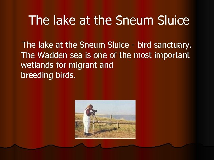  The lake at the Sneum Sluice - bird sanctuary. The Wadden sea is