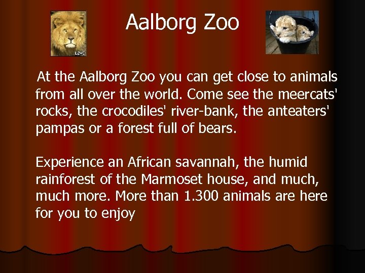 Aalborg Zoo At the Aalborg Zoo you can get close to animals from all