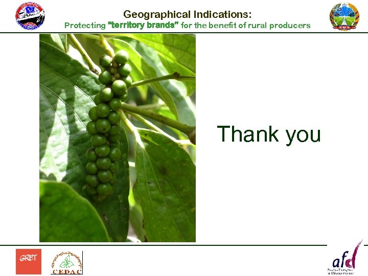 Geographical Indications: Protecting “territory brands” for the benefit of rural producers Thank you 