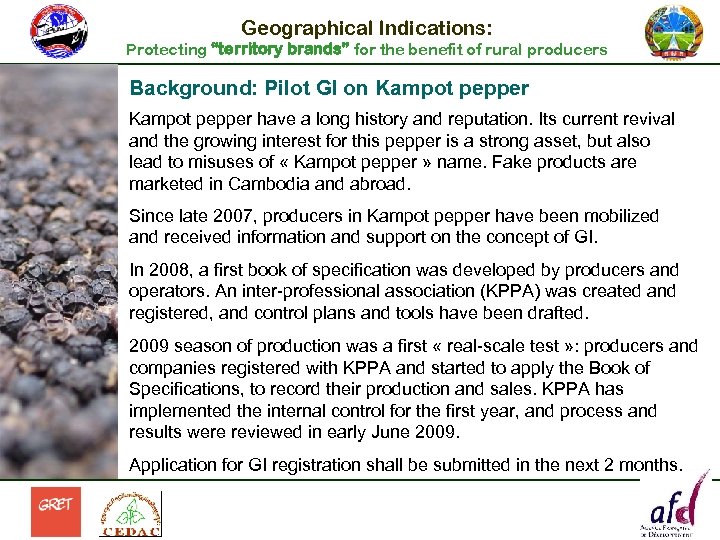 Geographical Indications: Protecting “territory brands” for the benefit of rural producers Background: Pilot GI