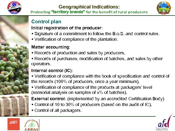 Geographical Indications: Protecting “territory brands” for the benefit of rural producers Control plan Initial