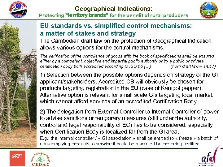 Geographical Indications: Protecting “territory brands” for the benefit of rural producers EU standards vs.