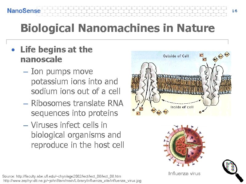 16 Biological Nanomachines in Nature • Life begins at the nanoscale – Ion pumps