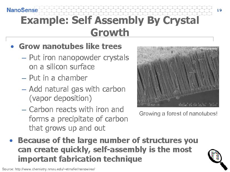 19 Example: Self Assembly By Crystal Growth • Grow nanotubes like trees – Put