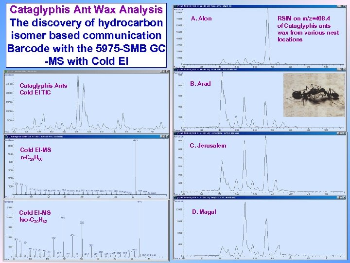 Cataglyphis Ant Wax Analysis The discovery of hydrocarbon isomer based communication Barcode with the