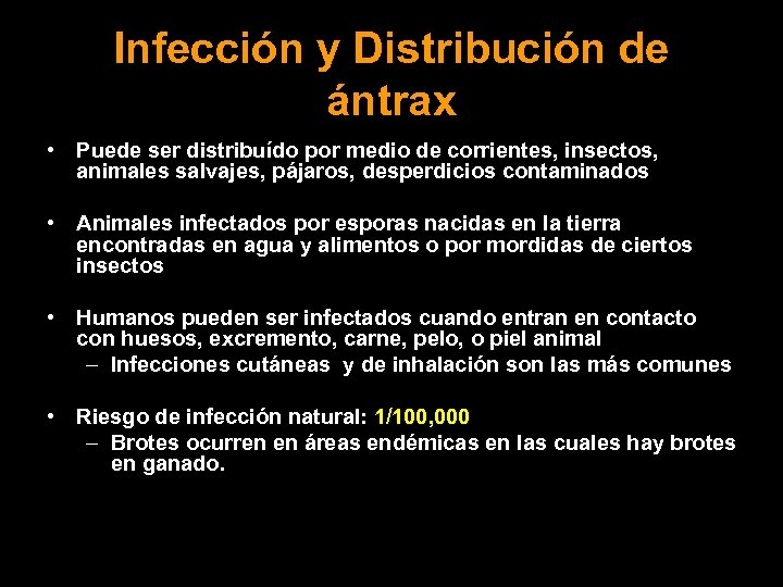 Infección y Distribución de ántrax • Puede ser distribuído por medio de corrientes, insectos,