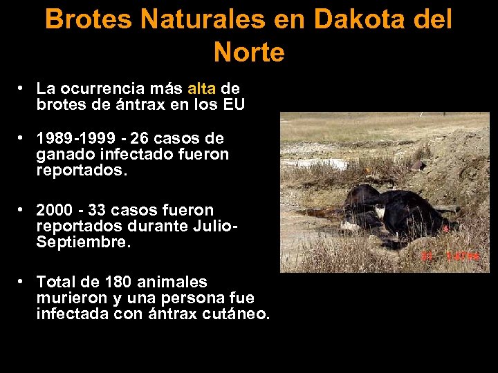 Brotes Naturales en Dakota del Norte • La ocurrencia más alta de brotes de