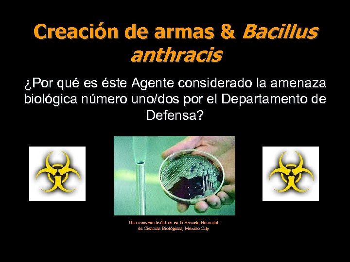 Creación de armas & Bacillus anthracis ¿Por qué es éste Agente considerado la amenaza