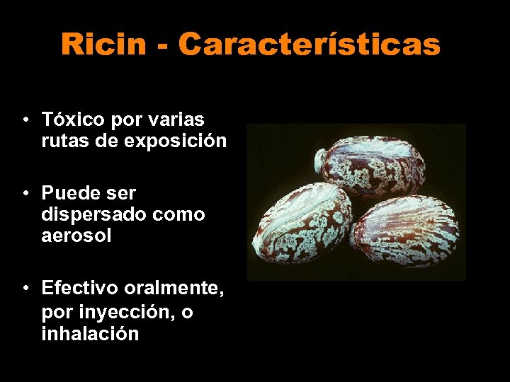 Ricin - Características • Tóxico por varias rutas de exposición • Puede ser dispersado