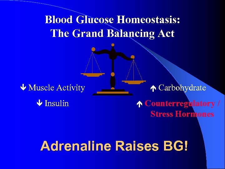 Blood Glucose Homeostasis: The Grand Balancing Act Muscle Activity Carbohydrate Insulin Counterregulatory / Stress