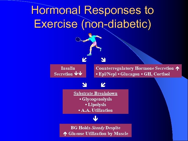 Hormonal Responses to Exercise (non-diabetic) Insulin Secretion Counterregulatory Hormone Secretion • Epi/Nepi • Glucagon