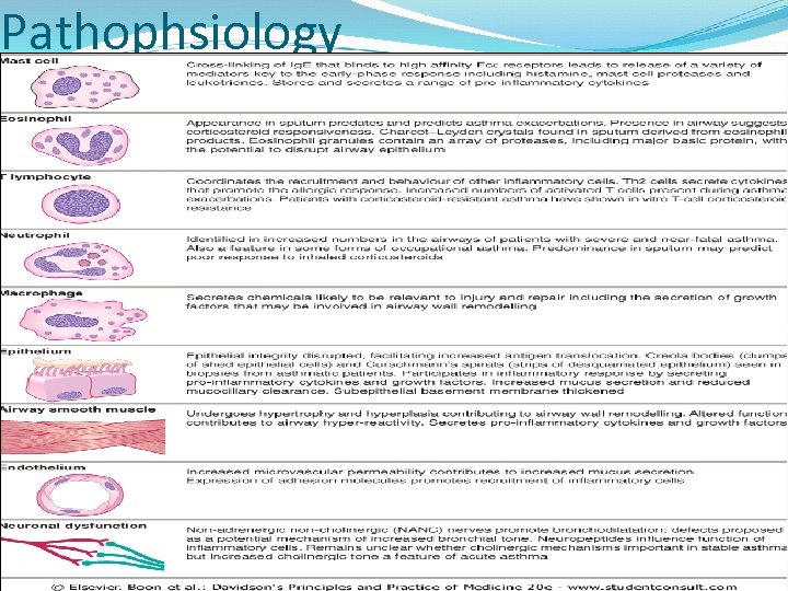 Pathophsiology 