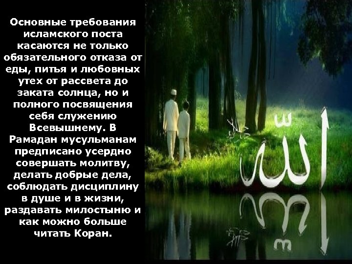 Основные требования исламского поста касаются не только обязательного отказа от еды, питья и любовных