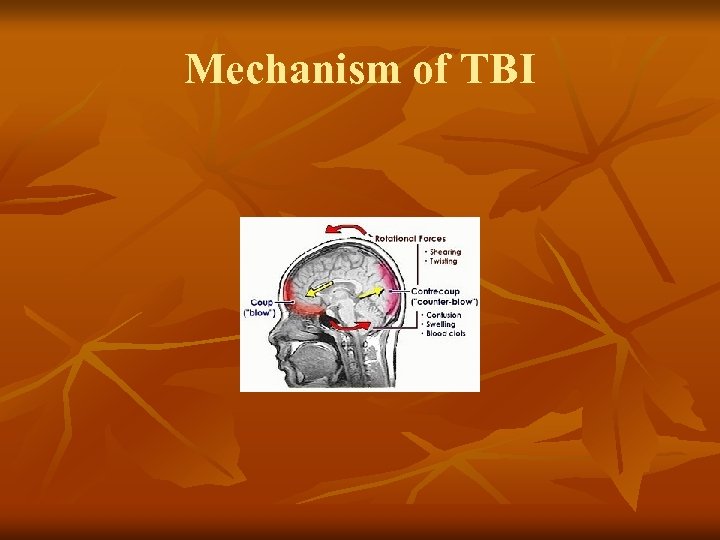 Mechanism of TBI 