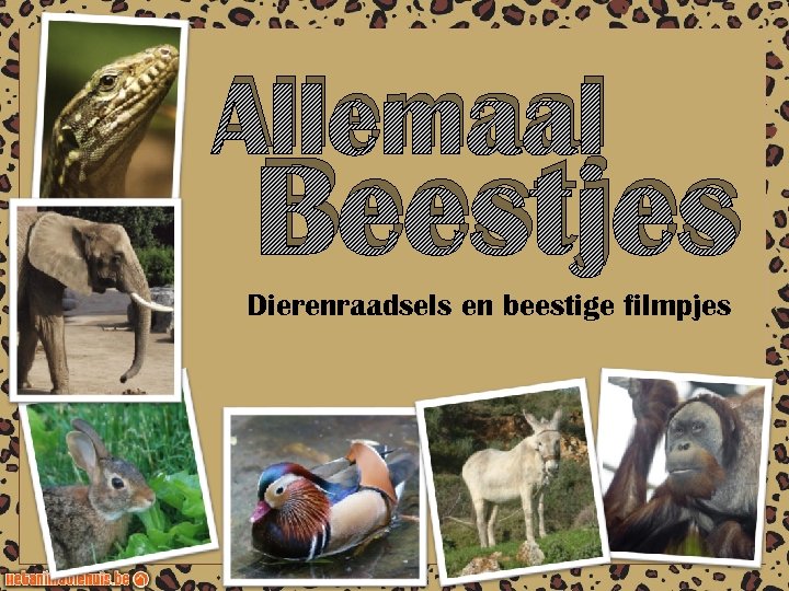 Allemaal Beestjes Dierenraadsels en beestige filmpjes 