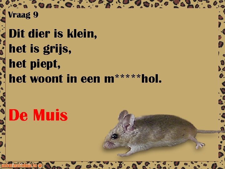 Vraag 9 Dit dier is klein, het is grijs, het piept, het woont in