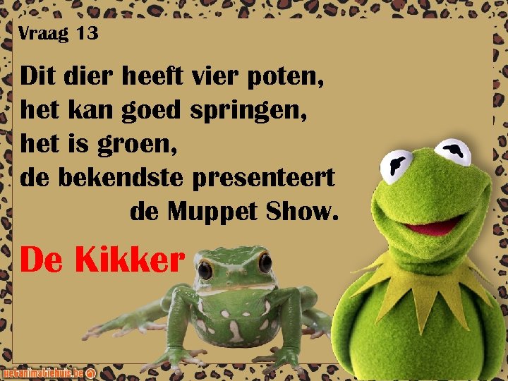 Vraag 13 Dit dier heeft vier poten, het kan goed springen, het is groen,