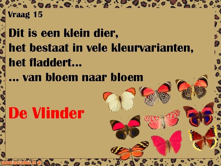 Vraag 15 Dit is een klein dier, het bestaat in vele kleurvarianten, het fladdert…