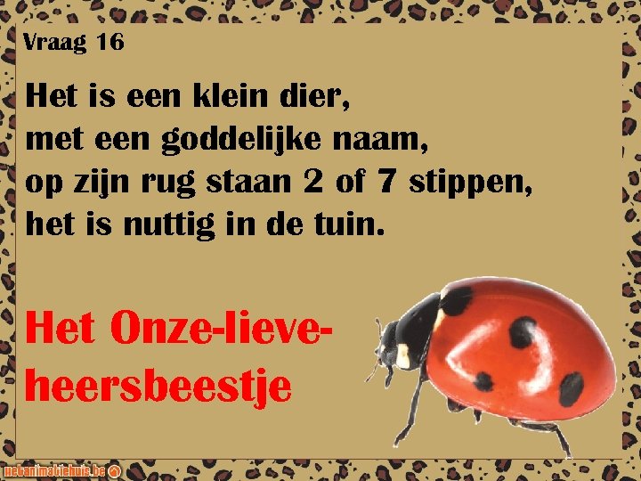 Vraag 16 Het is een klein dier, met een goddelijke naam, op zijn rug