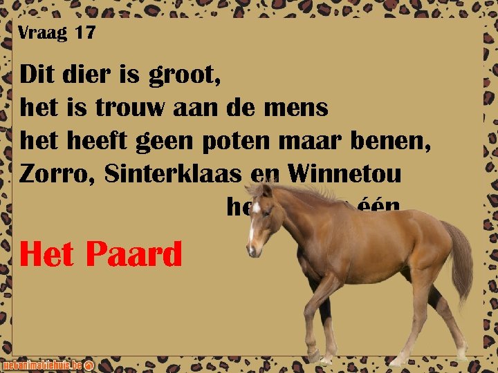 Vraag 17 Dit dier is groot, het is trouw aan de mens het heeft