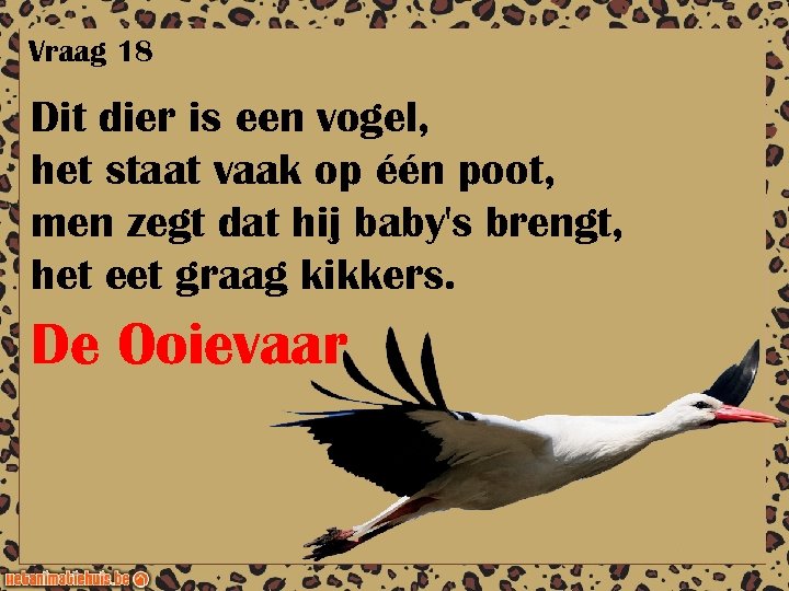 Vraag 18 Dit dier is een vogel, het staat vaak op één poot, men