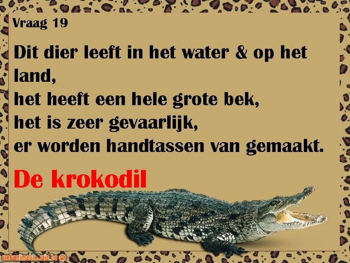 Vraag 19 Dit dier leeft in het water & op het land, het heeft
