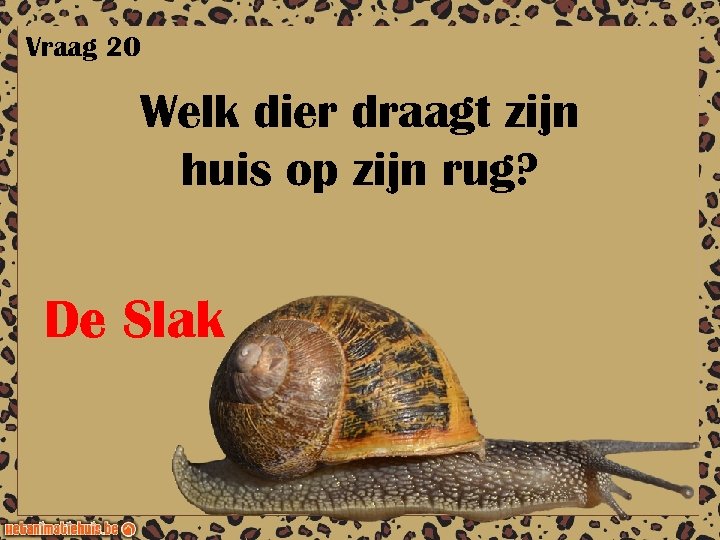 Vraag 20 Welk dier draagt zijn huis op zijn rug? De Slak 
