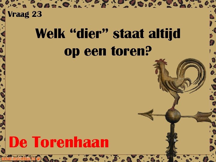 Vraag 23 Welk “dier” staat altijd op een toren? De Torenhaan 