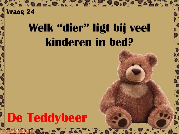 Vraag 24 Welk “dier” ligt bij veel kinderen in bed? De Teddybeer 