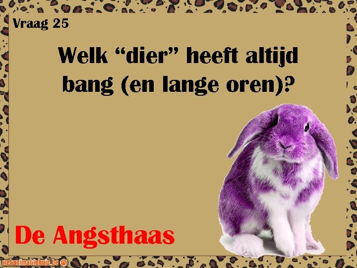 Vraag 25 Welk “dier” heeft altijd bang (en lange oren)? De Angsthaas 