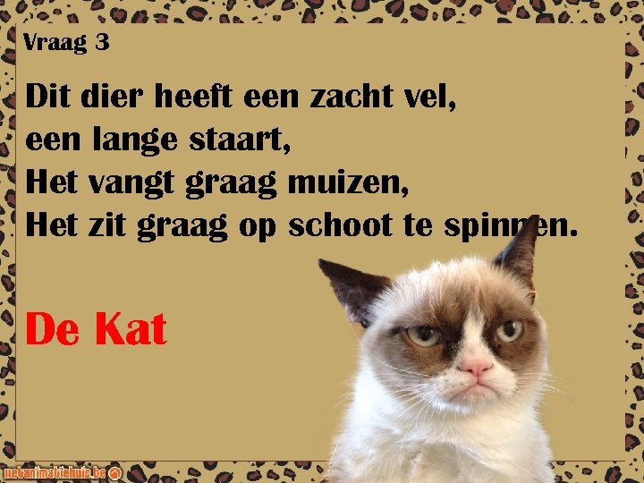 Vraag 3 Dit dier heeft een zacht vel, een lange staart, Het vangt graag