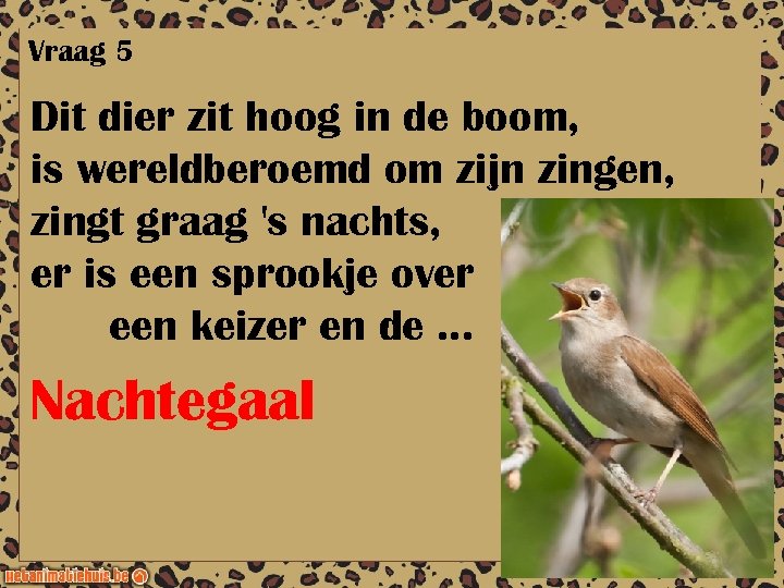 Vraag 5 Dit dier zit hoog in de boom, is wereldberoemd om zijn zingen,