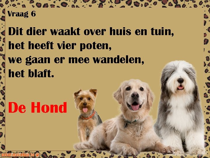 Vraag 6 Dit dier waakt over huis en tuin, het heeft vier poten, we