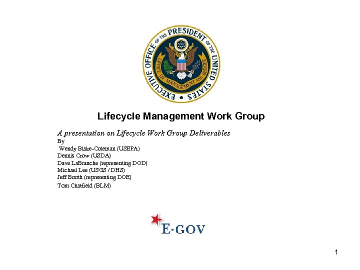 Lifecycle Management Work Group A presentation on Lifecycle Work Group Deliverables By Wendy Blake-Coleman