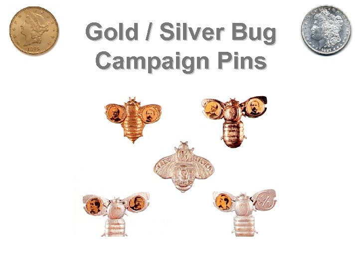 Gold / Silver Bug Campaign Pins 