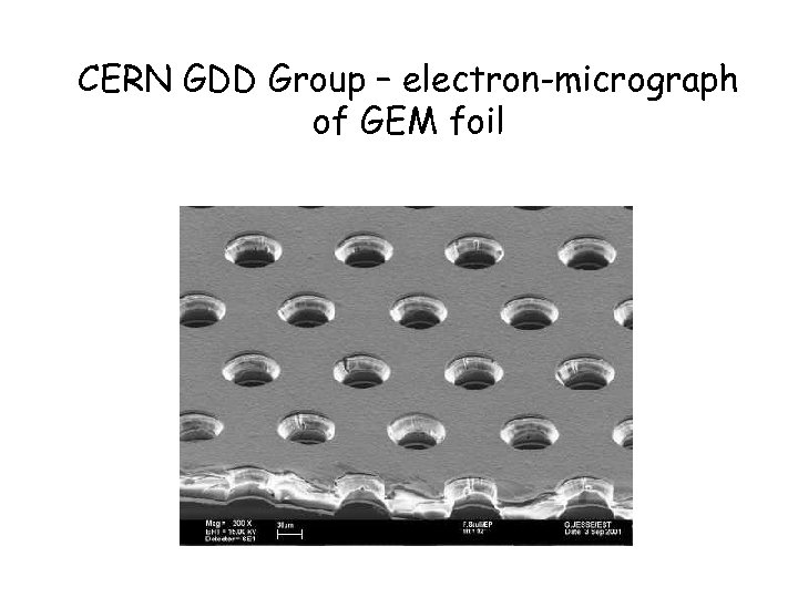 CERN GDD Group – electron-micrograph of GEM foil 