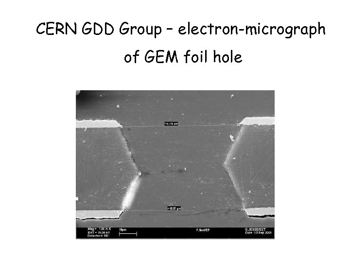 CERN GDD Group – electron-micrograph of GEM foil hole 