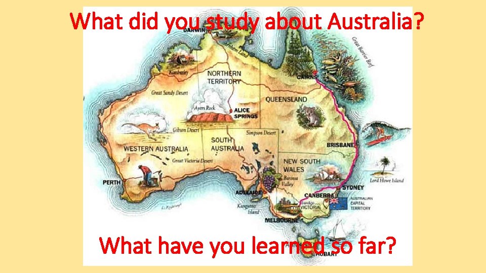 What did you study about Australia? What have you learned so far? 