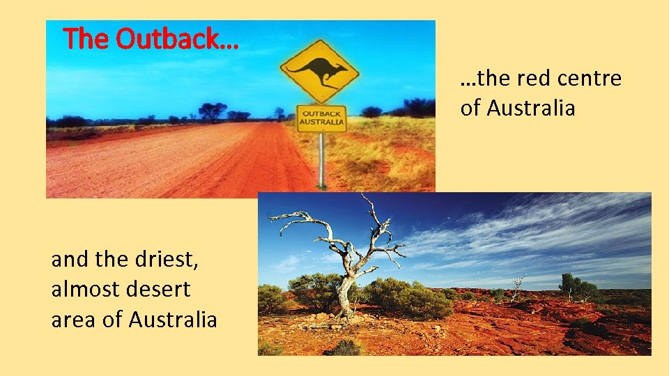 The Outback… …the red centre of Australia and the driest, almost desert area of