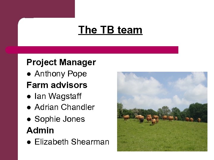 The TB team Project Manager l Anthony Pope Farm advisors l l l Ian