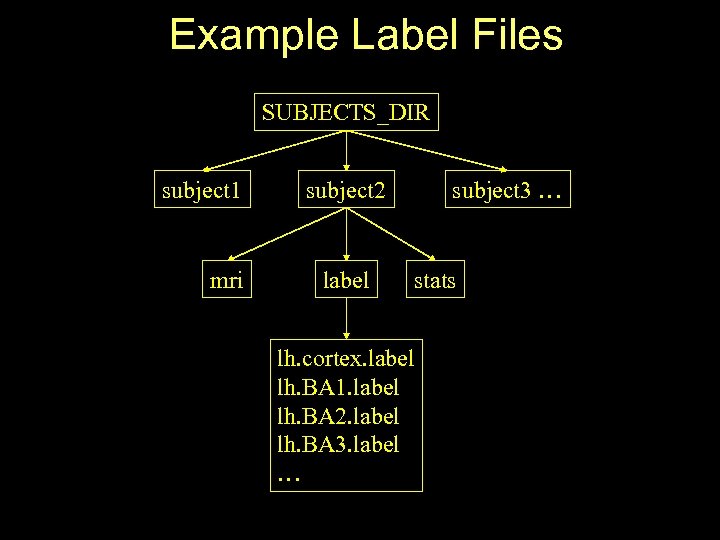 Example Label Files SUBJECTS_DIR subject 1 mri subject 2 label subject 3 … stats