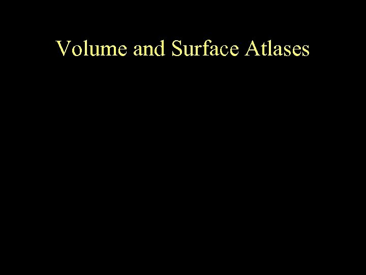 Volume and Surface Atlases 