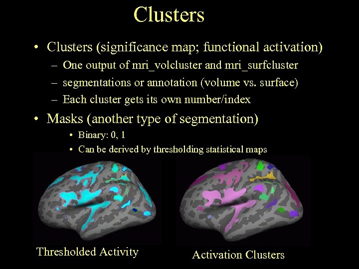 Clusters • Clusters (significance map; functional activation) – One output of mri_volcluster and mri_surfcluster