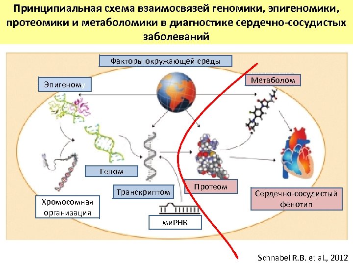 Презентация геномика и протеомика