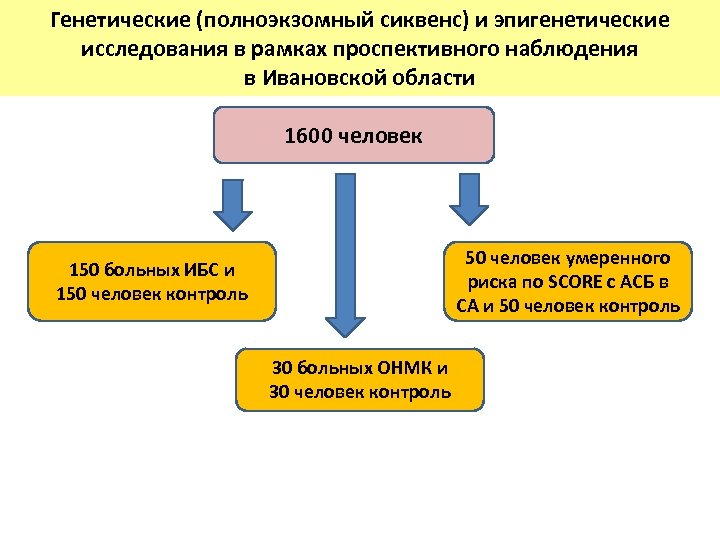 Генетические (полноэкзомный сиквенс) и эпигенетические исследования в рамках проспективного наблюдения в Ивановской области 1600