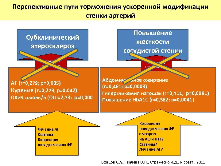 Перспективные пути торможения ускоренной модификации стенки артерий Субклинический атеросклероз Ускоренный атерогенез АГ (r=0, 279;