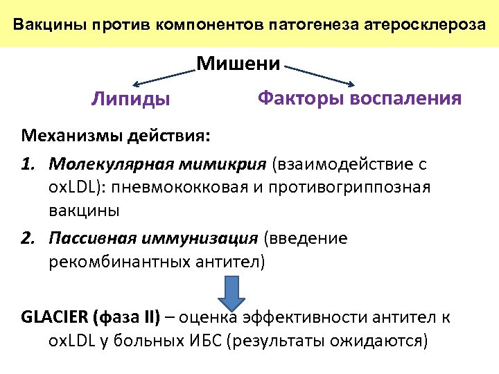 Воспаление механизмы стадии