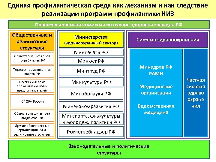 Единая профилактическая среда как механизм и как следствие реализации программ профилактики НИЗ Правительственная комиссия